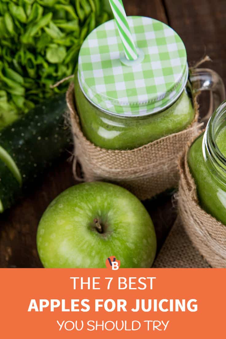 The 7 Best Apples For Juicing You Should Try Vegbyte Marketplace
