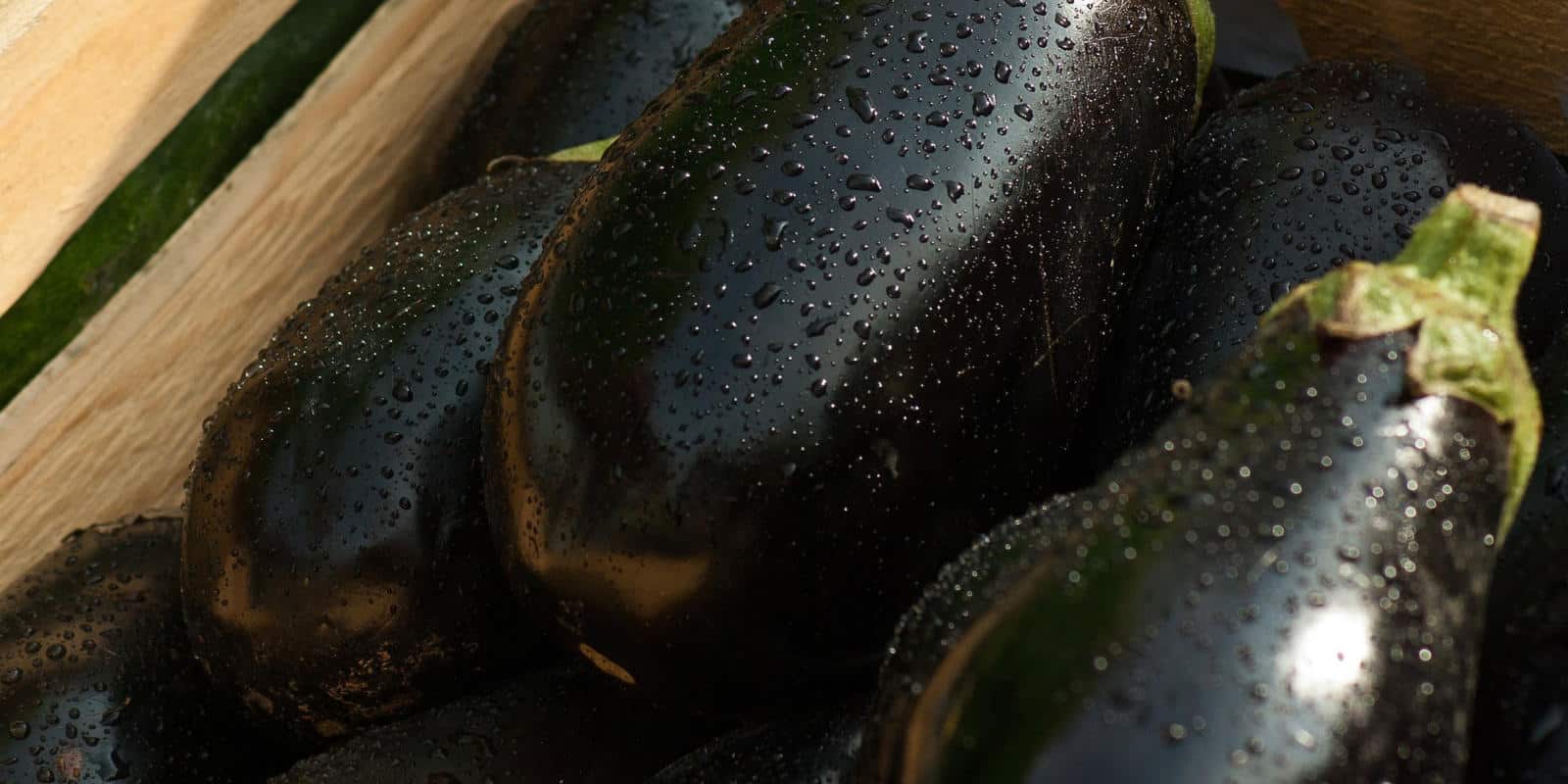 What Does Eggplant Taste Like? | VegByte Marketplace