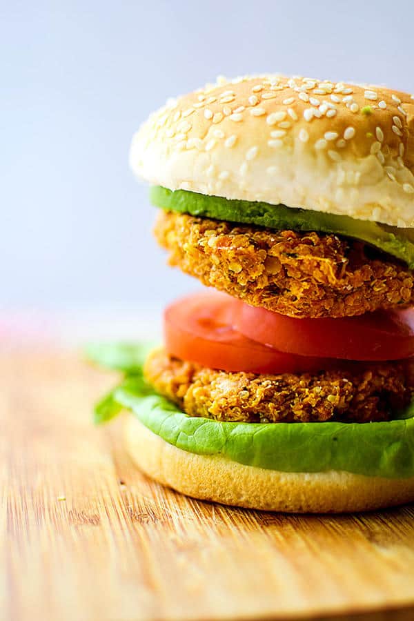 101 Vegan Sandwich and Burger Recipes You Will Love | VegByte Marketplace