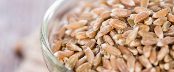 Spelt