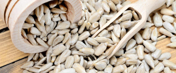 Sunflower seeds